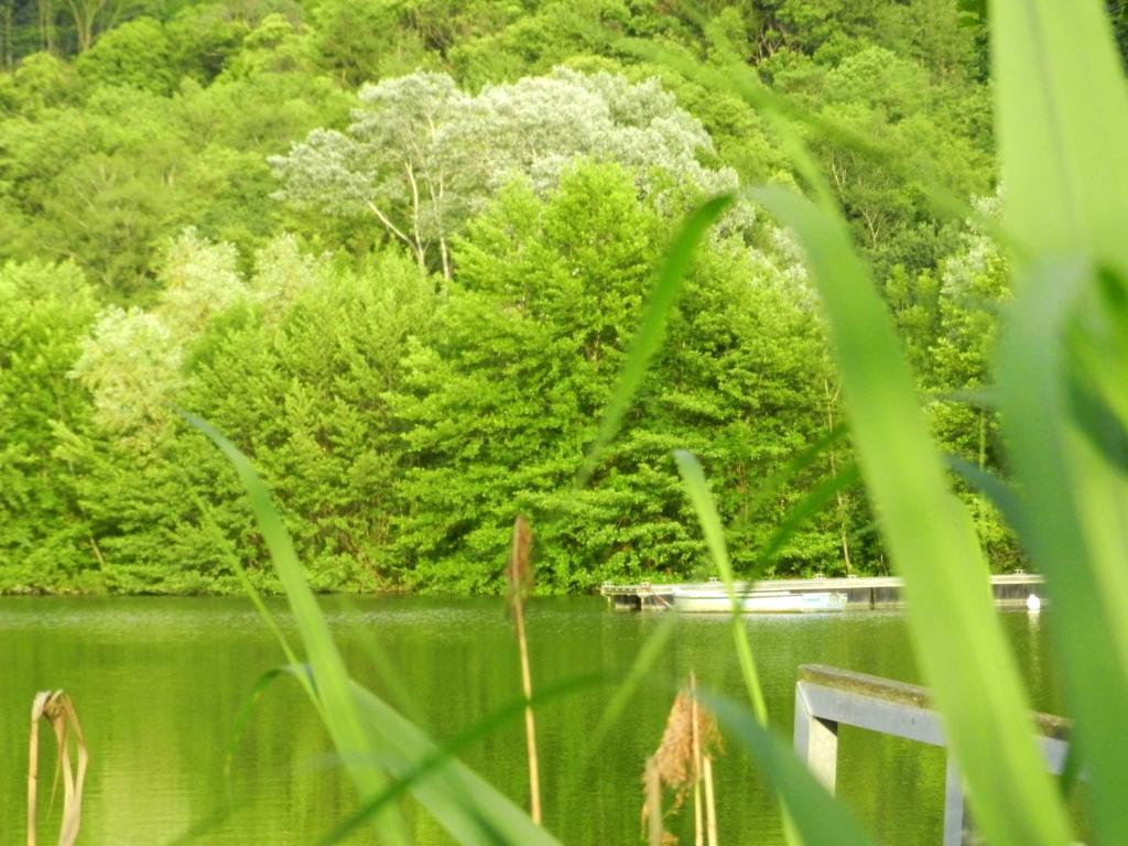 Gite Les Platanes Sainte-Helene-du-Lac Exteriér fotografie